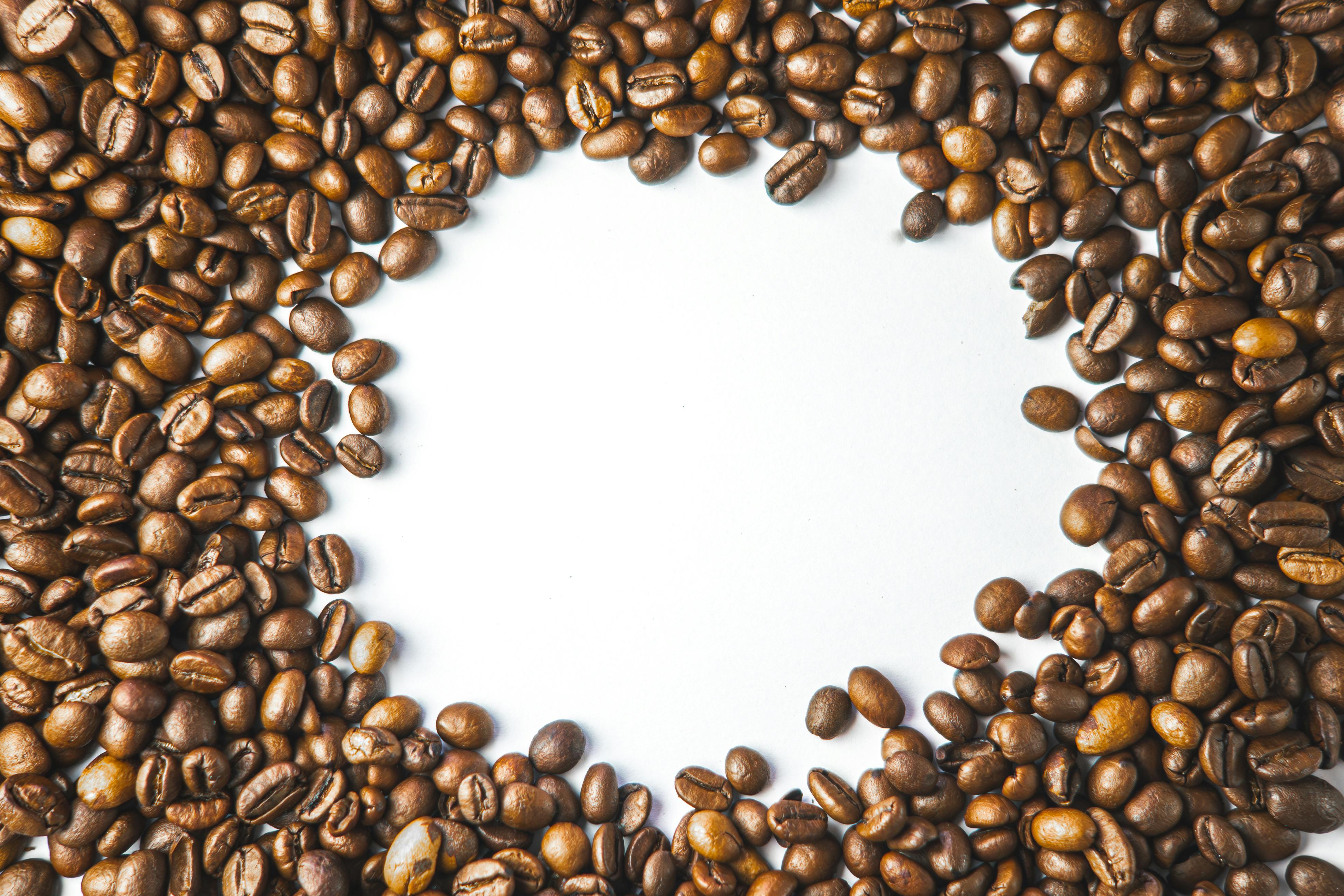Effective Guide to Oxbow Adult Rabbit Food for 2025 Benefits