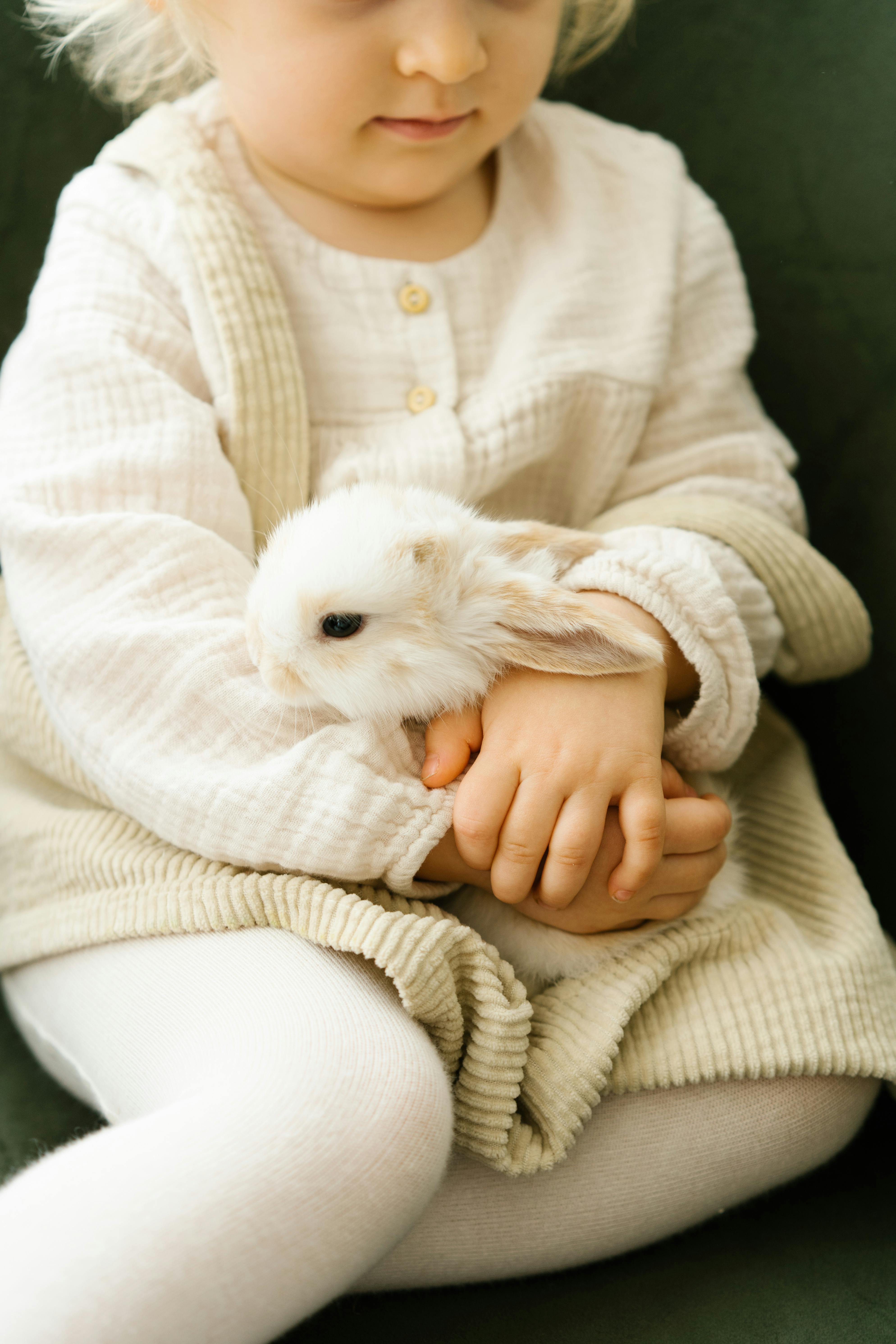 Top 5 Effective Ways to Master Cute Rabbit Drawing in 2025