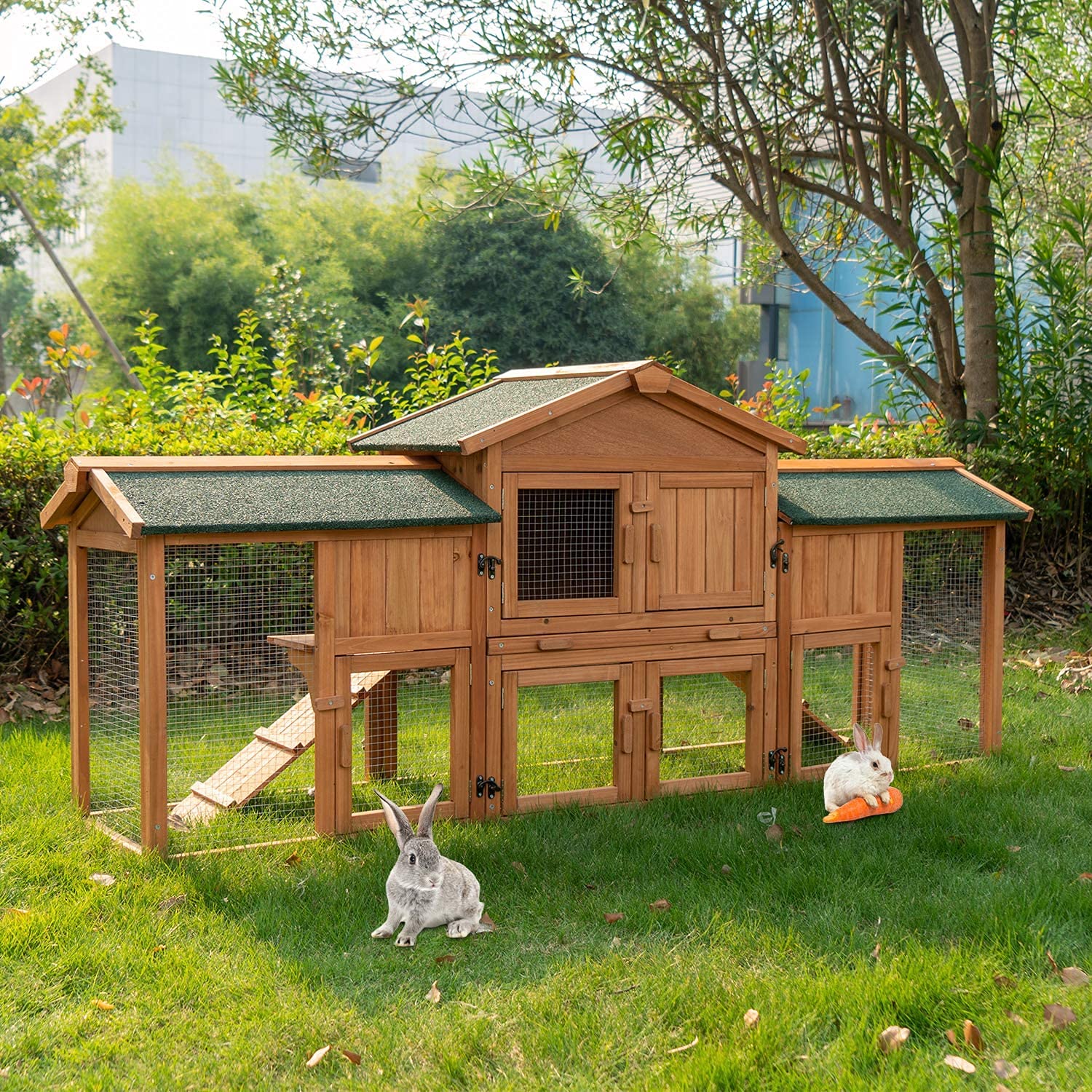 Rabbit Hutch Outdoor