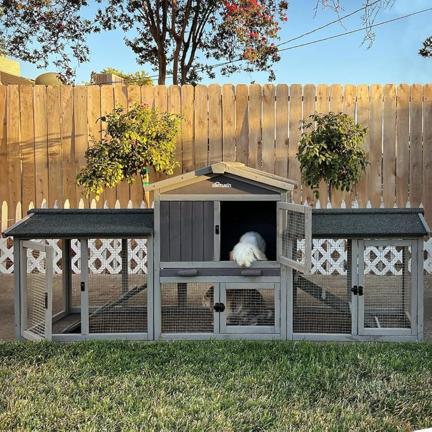 Rabbit Hutch Outdoor 2