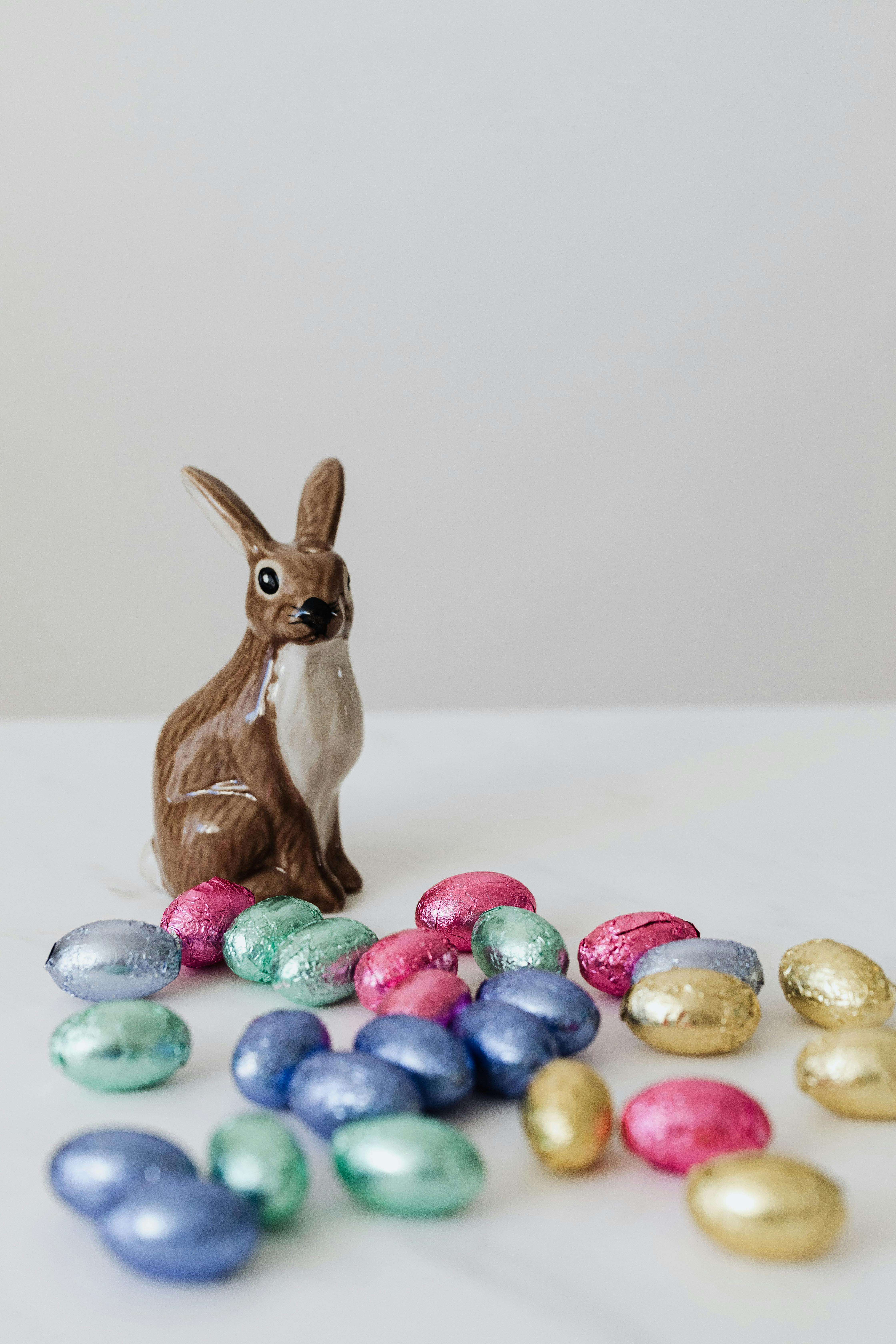 Happy indoor rabbit